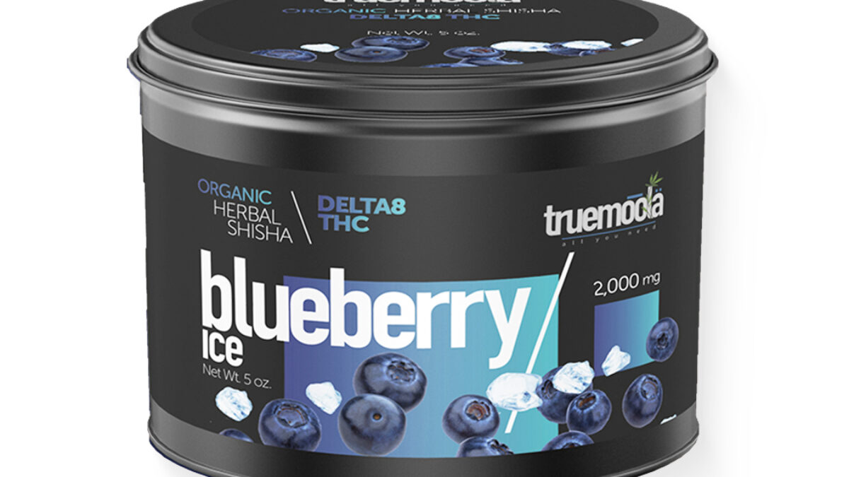 shisaBlueberryIce-1200x675.jpg