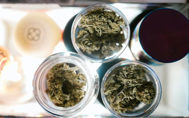 cannabis leaves inside containers