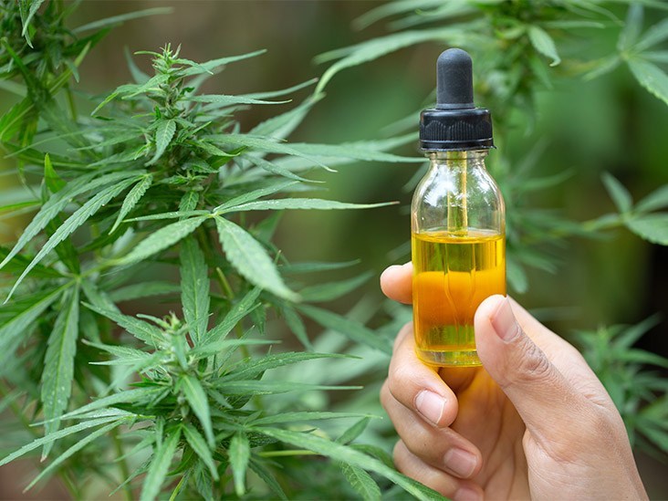 When Is the Best Time To Take CBD Oil?
