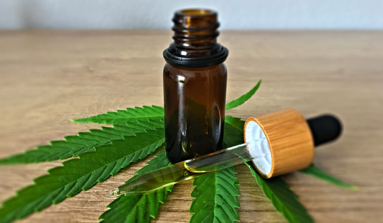 Everything You Should Know About Organic CBD Oil
