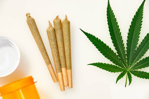 Prerolls for Beginners – All You Need to Know