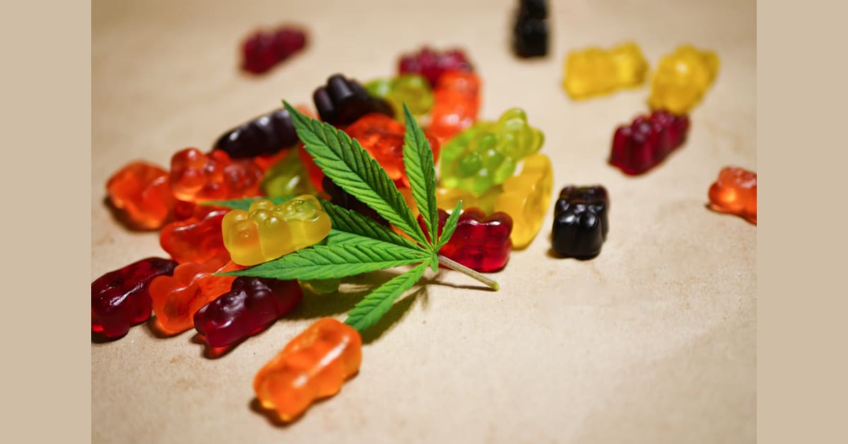 Best CBD Gummies For Pain Made in USA